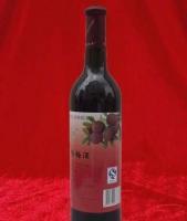 醇粹時光 品味干紅楊梅酒的果實發酵之旅
